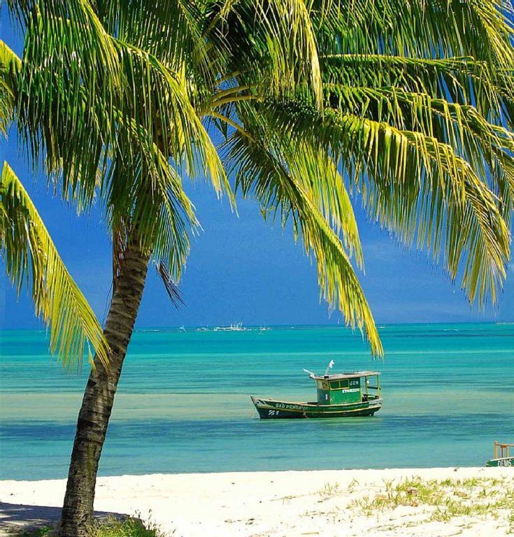 Apartamento Praia Jatiuca Maceió Extérieur photo